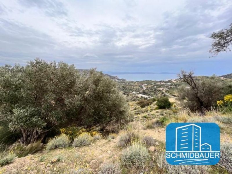 Agia Galini Kreta, Agia Galini: Grundstück mit Panoramablick auf das Meer zu verkaufen Grundstück kaufen